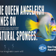 The New England Aquarium Has Some Great Advertising